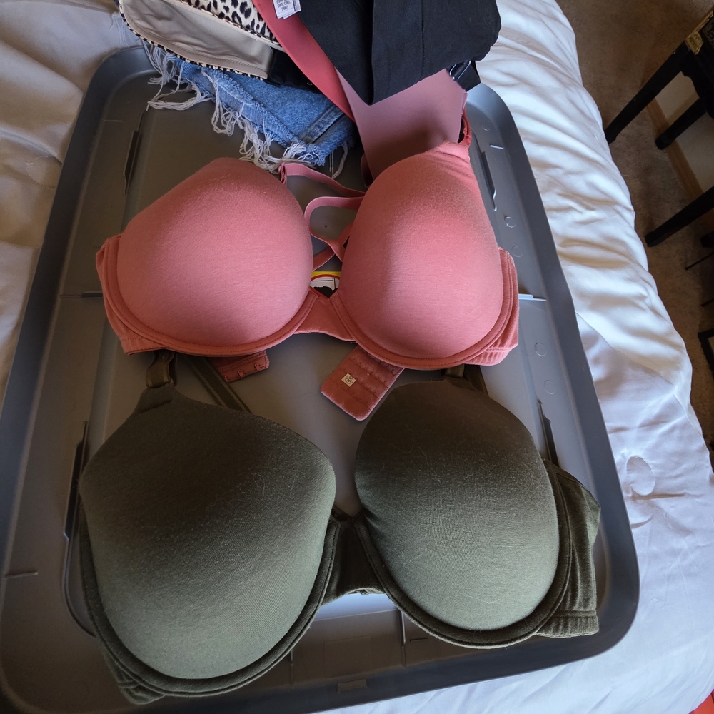 Fruit of the Loom Pink and Olive Bra Set